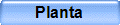 Planta